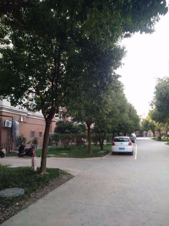 上海江南苑二手房房源图片