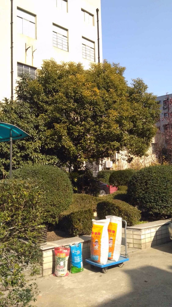 上海文海大楼二手房房源图片