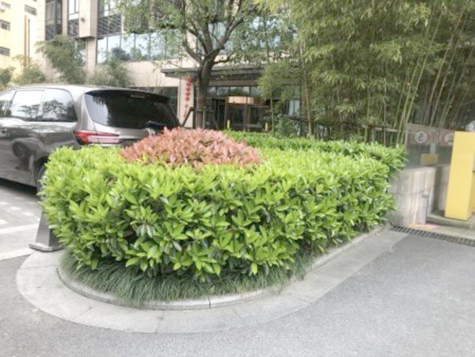 上海金巢铂瑞阁二手房房源图片