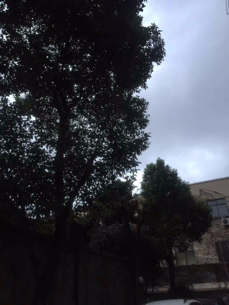 上海兰侨大厦二手房房源图片