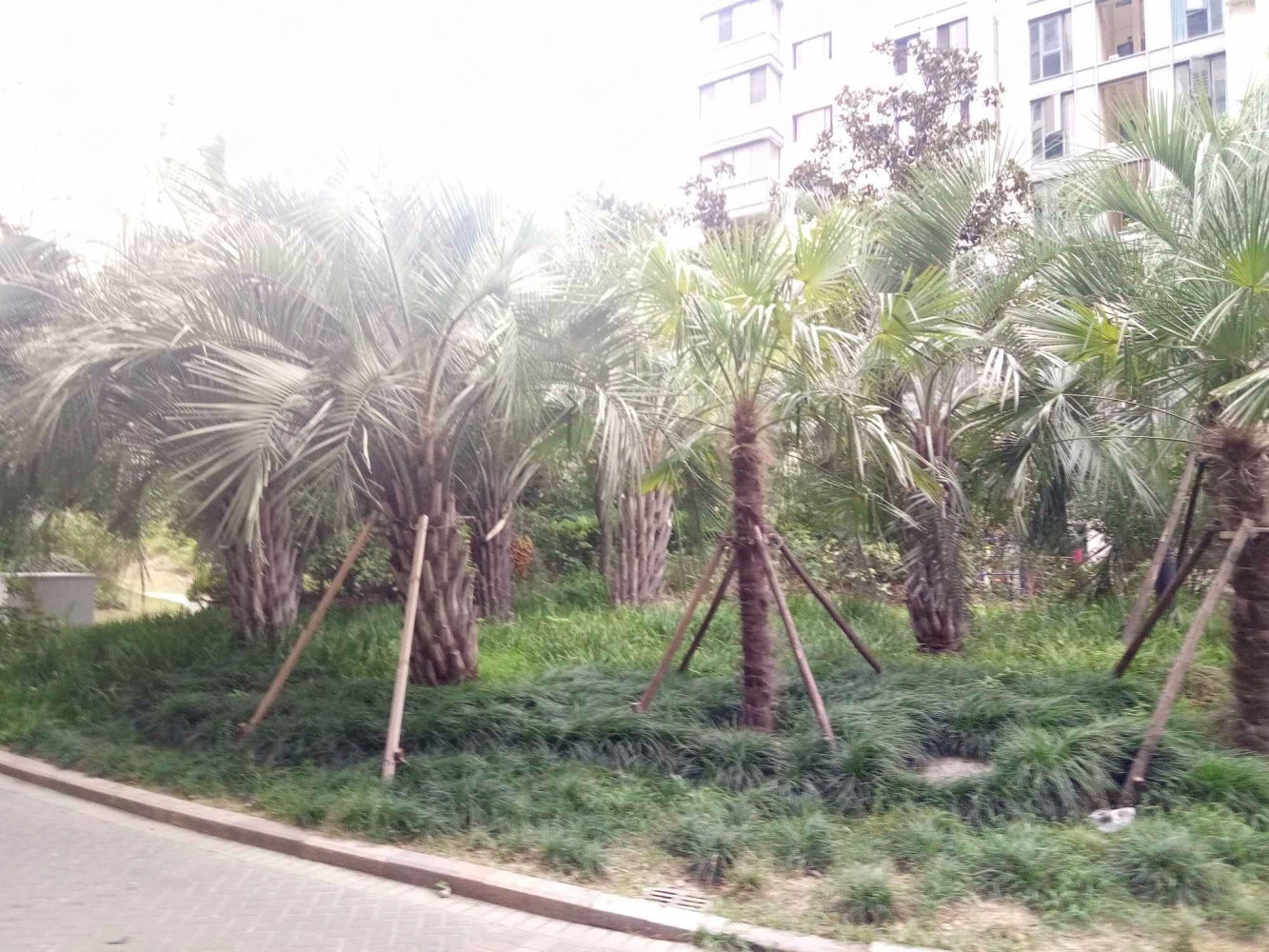 上海绿地崴廉公寓二手房房源图片