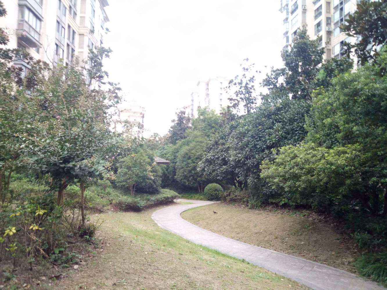 上海绿地崴廉公寓二手房房源图片