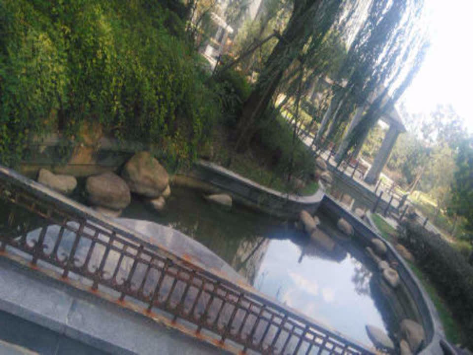 上海东鼎名人府邸二手房房源图片