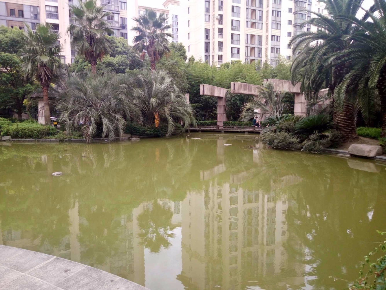 上海绿地崴廉公寓二手房房源图片