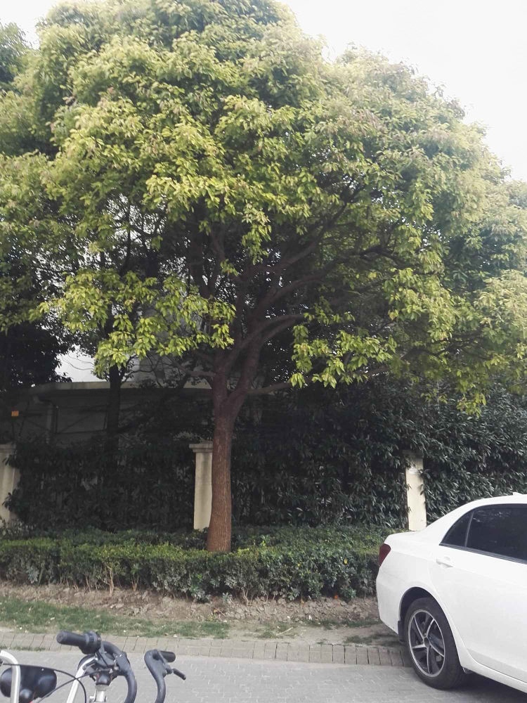 上海汤臣商务中心二手房房源图片