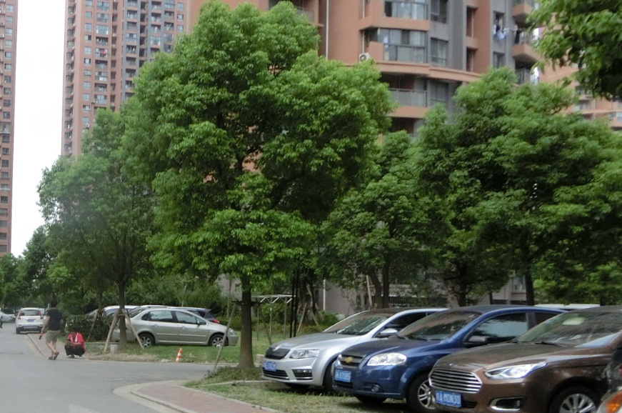 上海盛华景苑二手房房源图片
