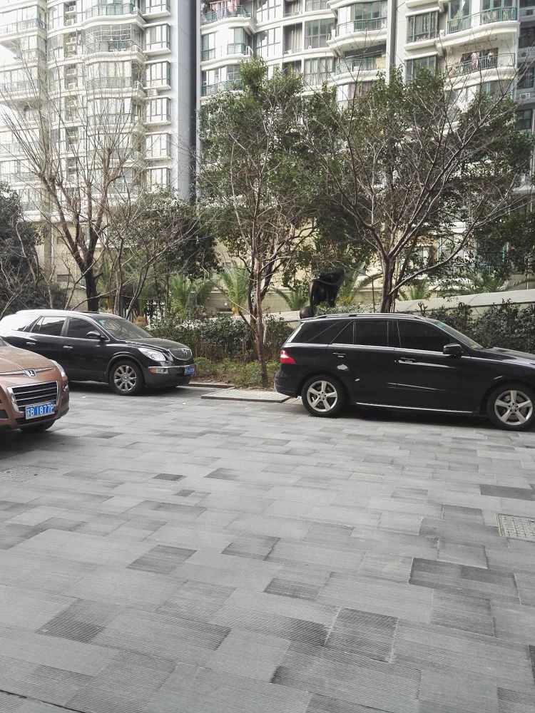 上海滨江名人苑二手房房源图片