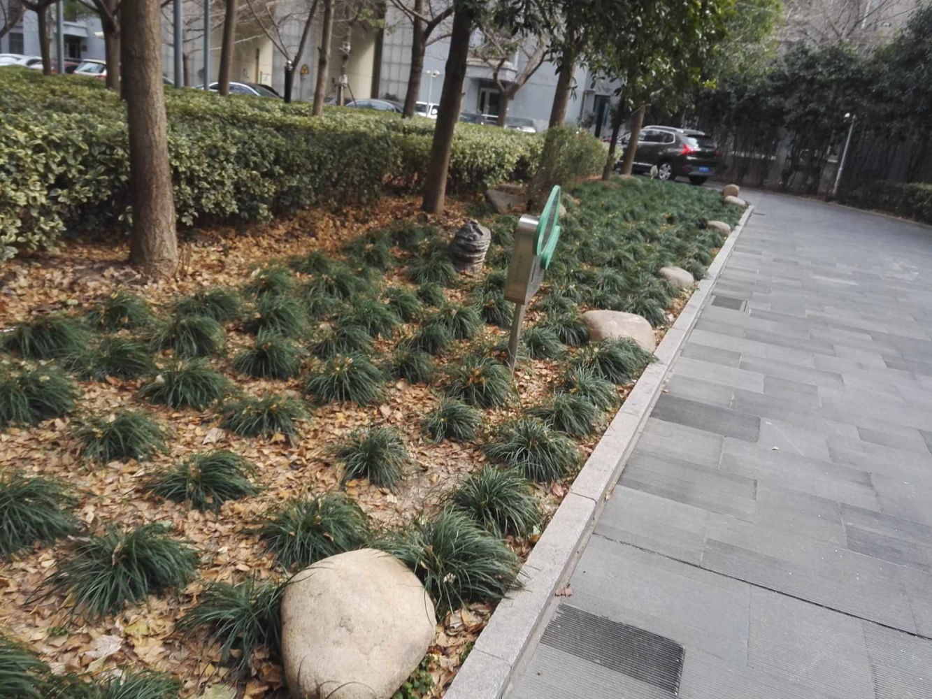 上海滨江名人苑二手房房源图片