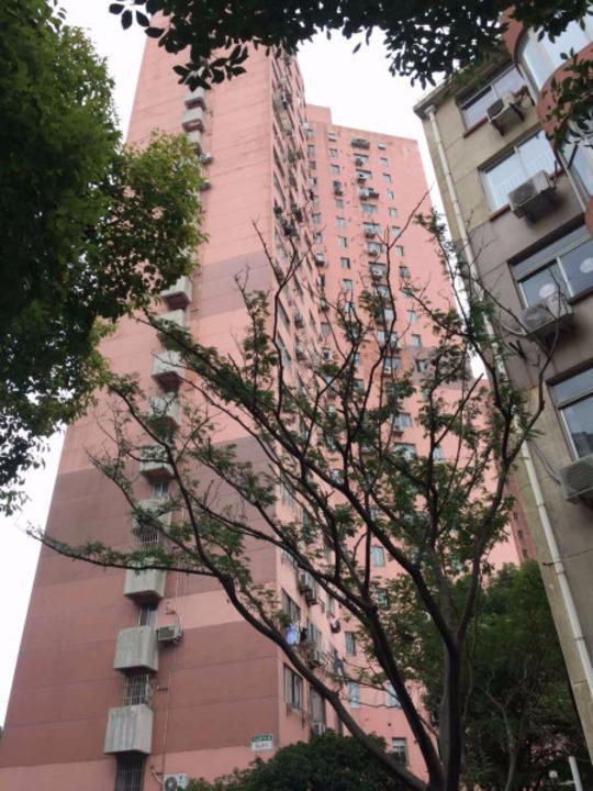 上海桃林小区二手房房源图片