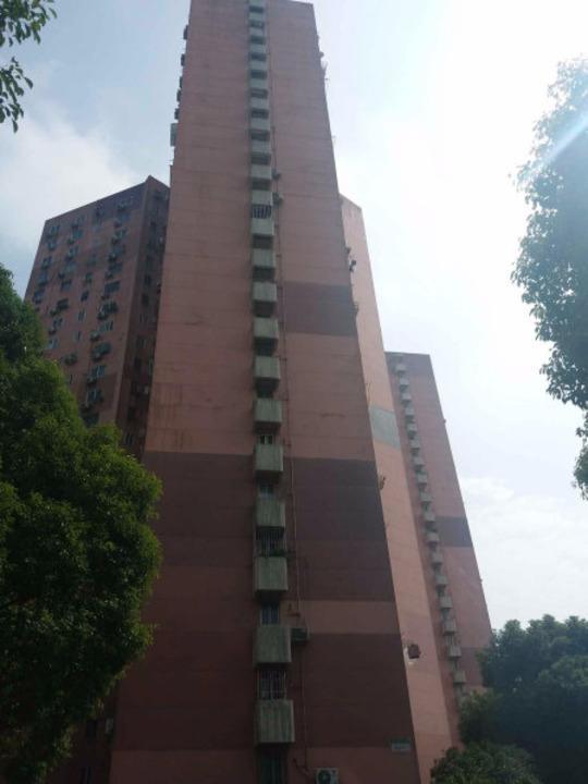 上海桃林小区二手房房源图片