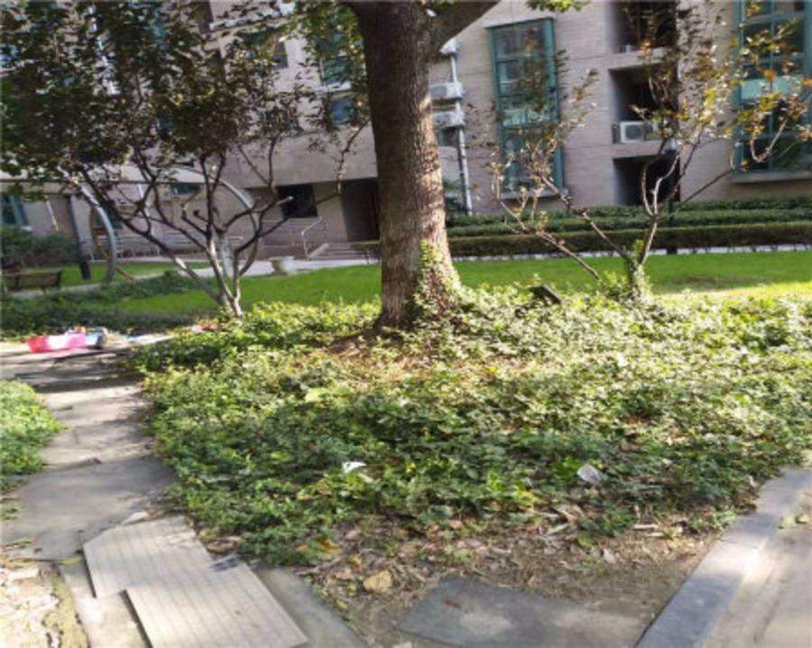 上海名门滨江苑二手房房源图片