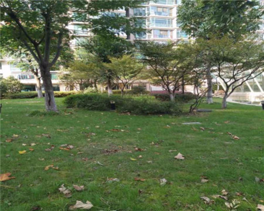 上海名门滨江苑二手房房源图片