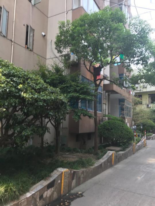 上海机施大楼二手房房源图片