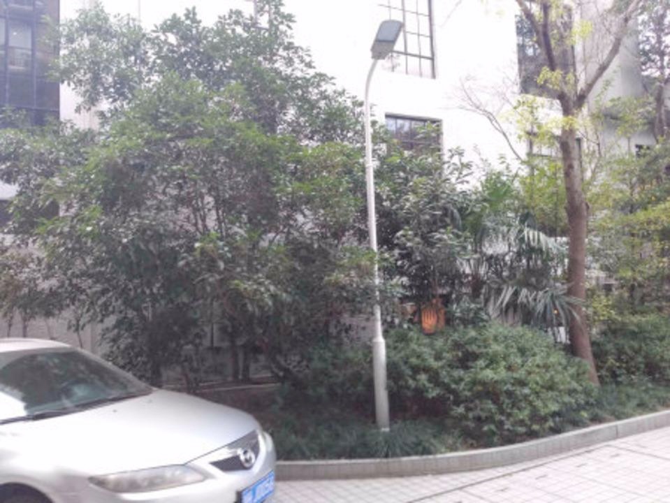 上海高欣公寓二手房房源图片