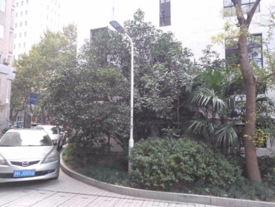 上海高欣公寓二手房房源图片