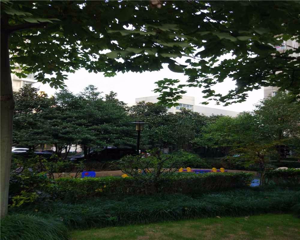 上海江临天下二手房房源图片