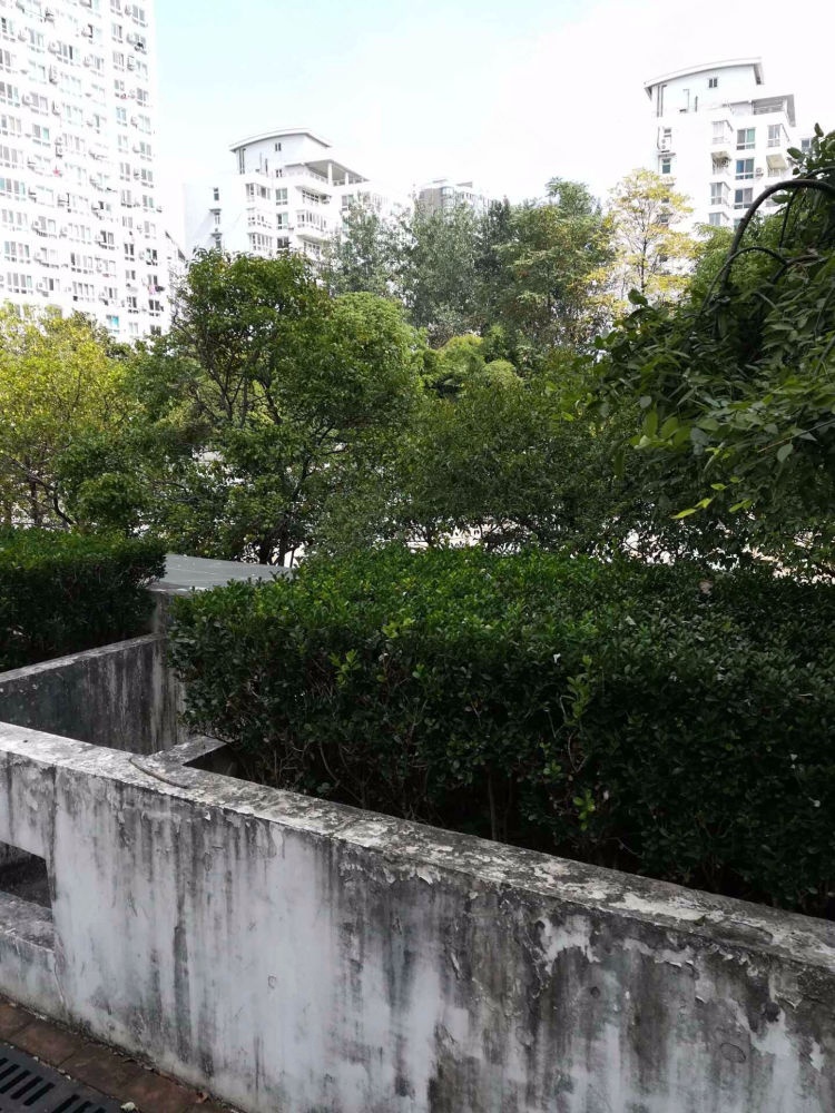 上海陆家嘴花园(一期)二手房房源图片