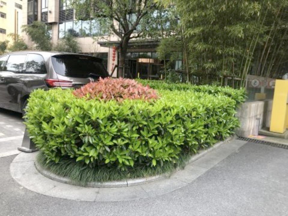 上海金巢铂瑞阁二手房房源图片