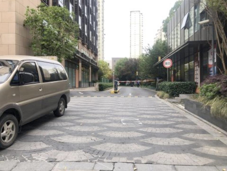 上海金巢铂瑞阁二手房房源图片