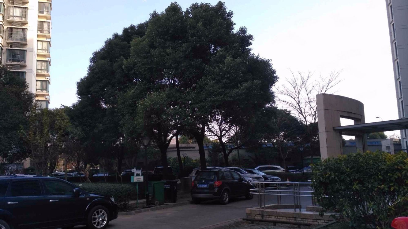 上海丽都成品二手房房源图片