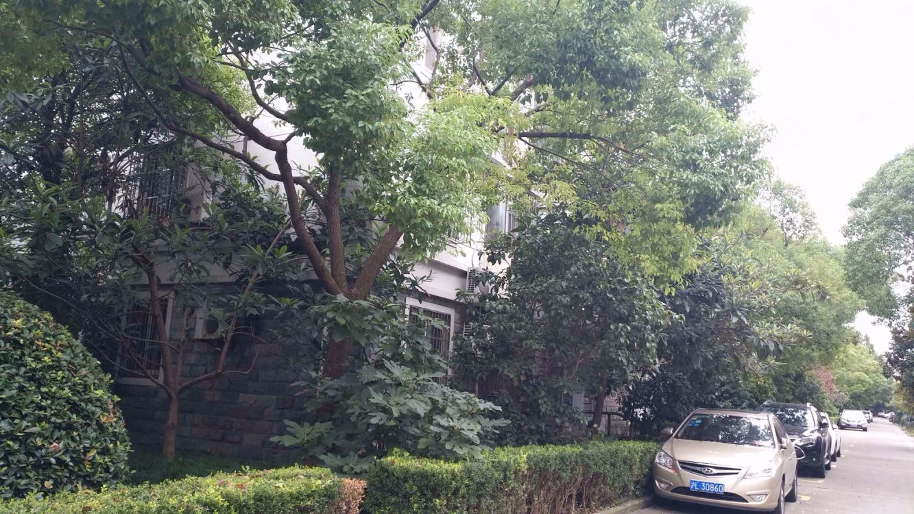 上海舒城苑二手房房源图片
