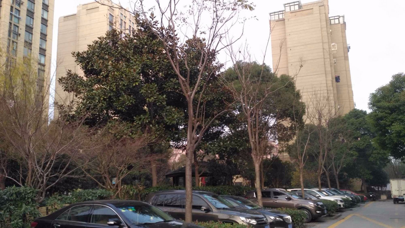 上海虹梅菁典二手房房源图片