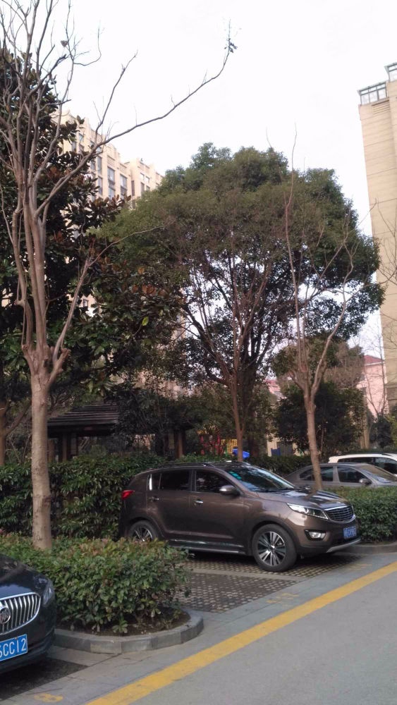 上海虹梅菁典二手房房源图片