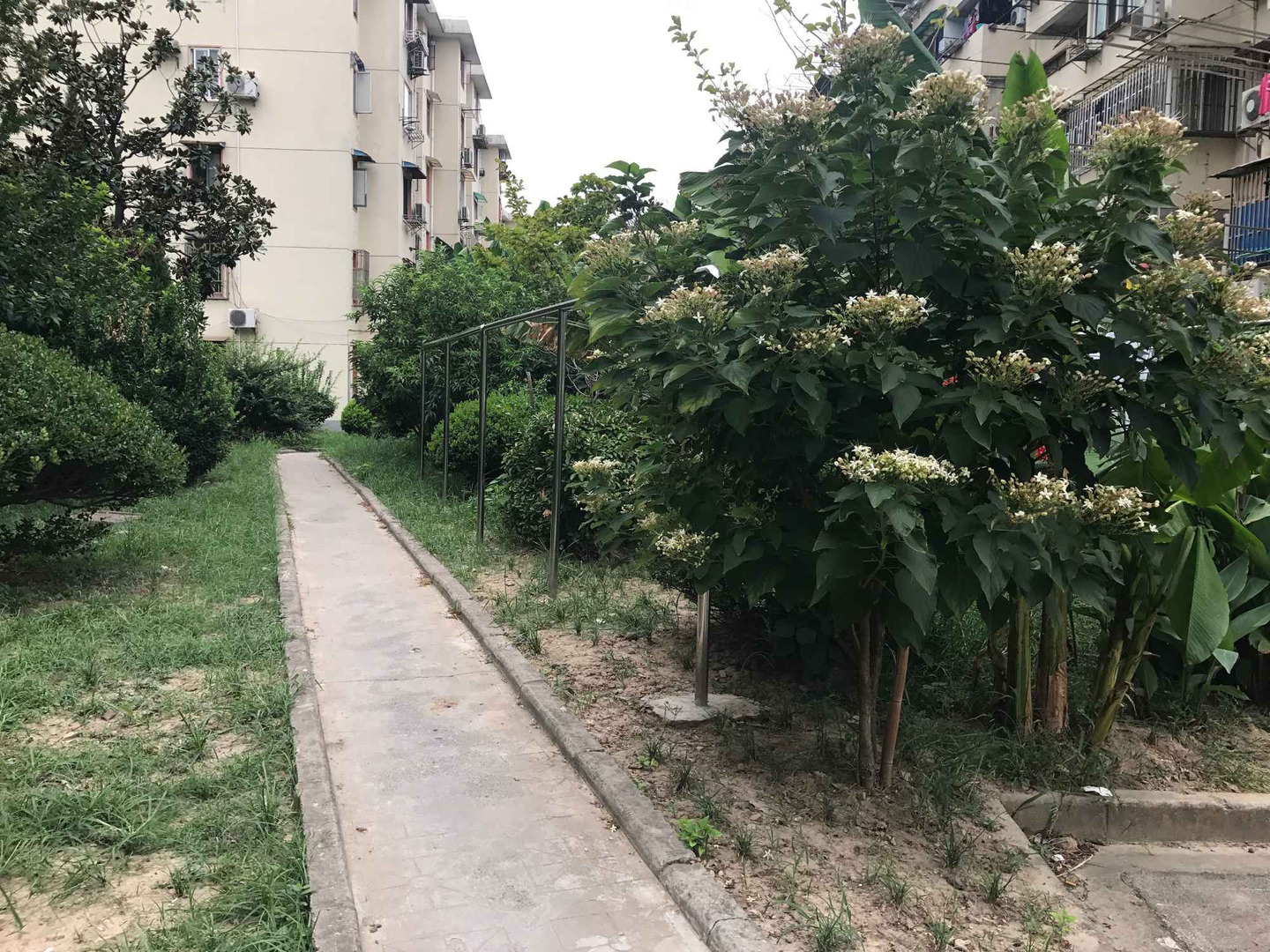 上海嘉利坊二手房房源图片
