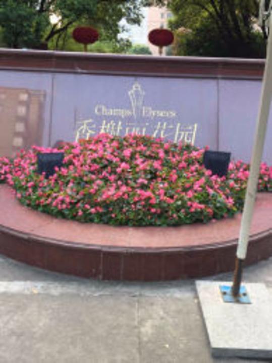 上海香榭丽花园二手房房源图片