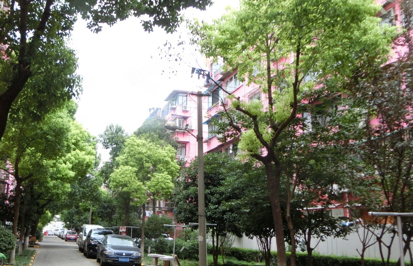 上海家乐苑二手房房源图片