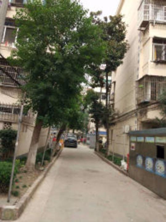 上海梅园二街坊二手房房源图片