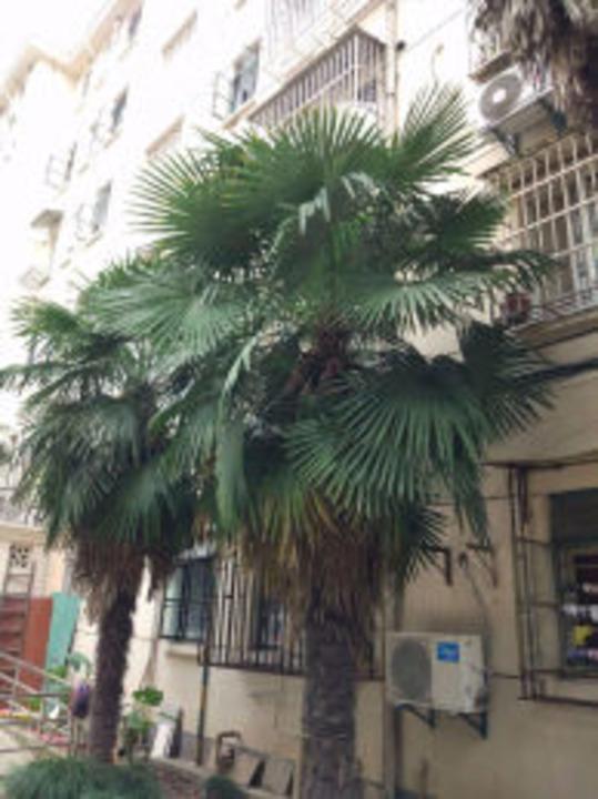 上海梅园二街坊二手房房源图片