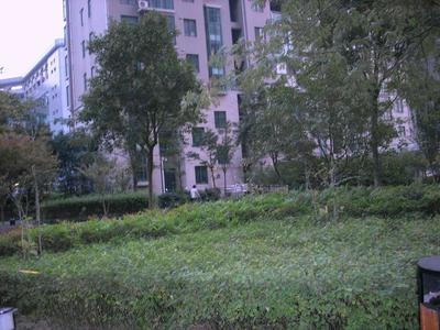 上海名门滨江苑二手房房源图片