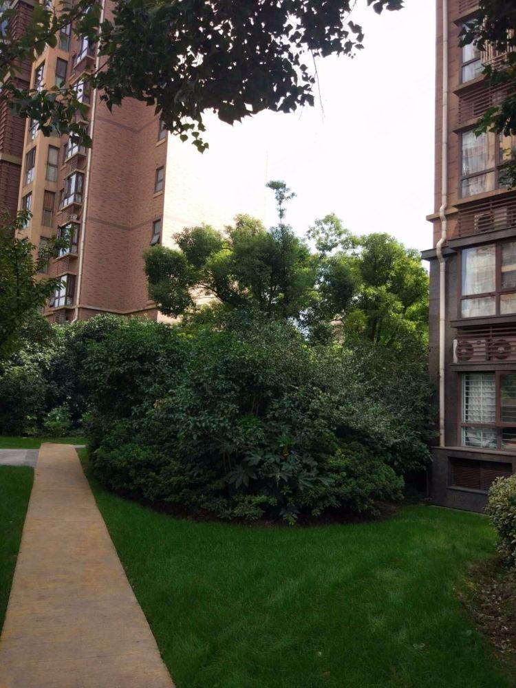 上海广洋华景苑二手房房源图片