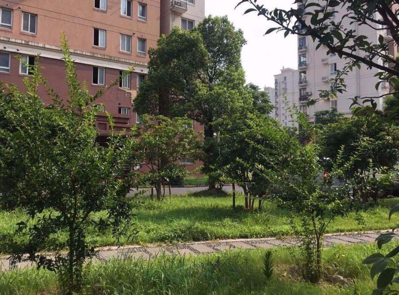 上海中虹家园二手房房源图片