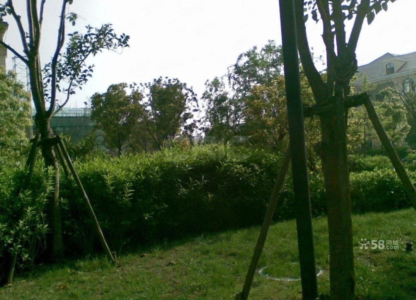 上海阳光欧洲城蔷薇绅邻二手房房源图片