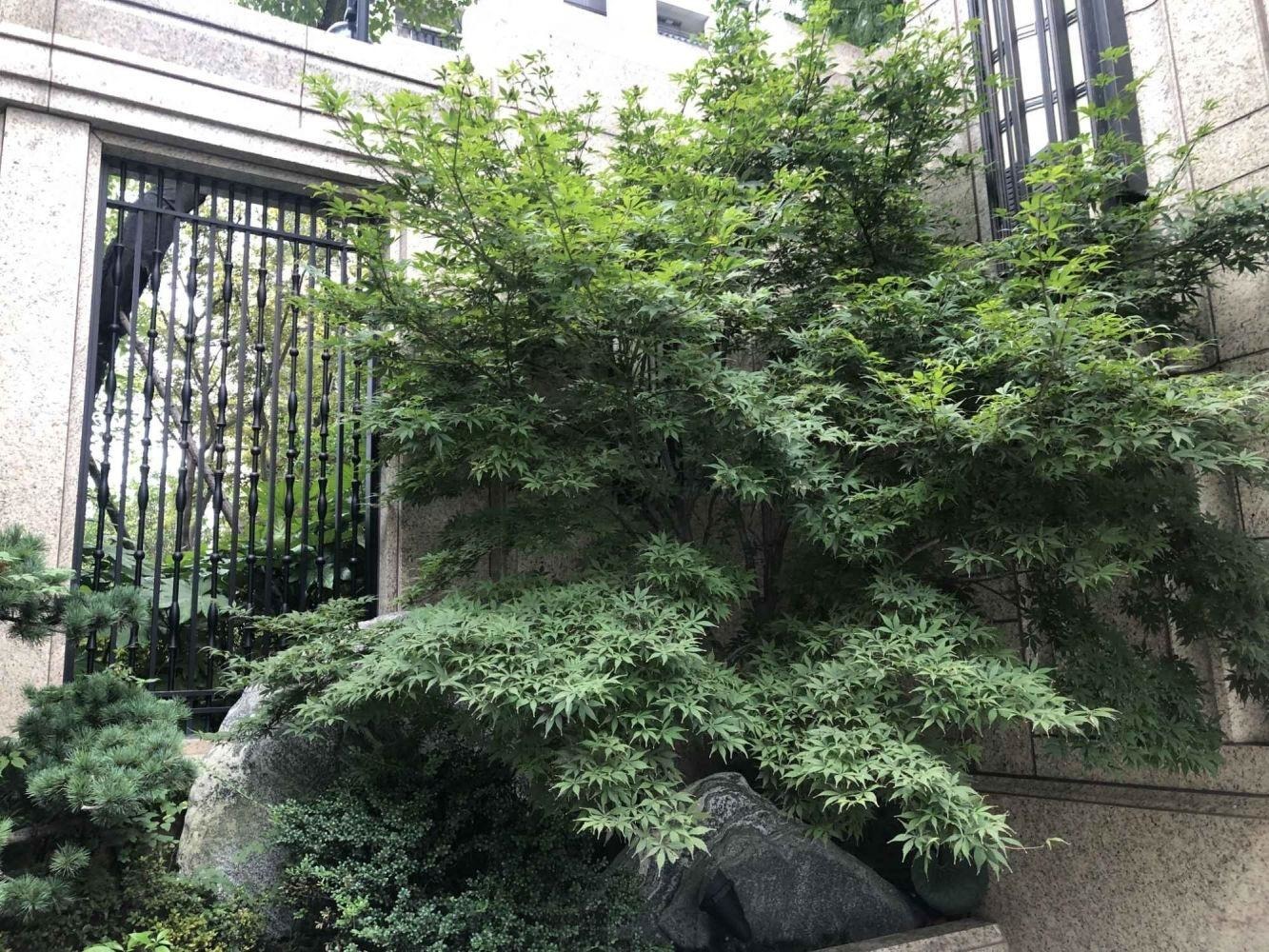 上海宝华紫薇花园二手房房源图片