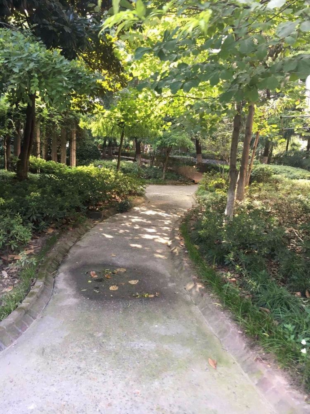 上海盛族家园二手房房源图片