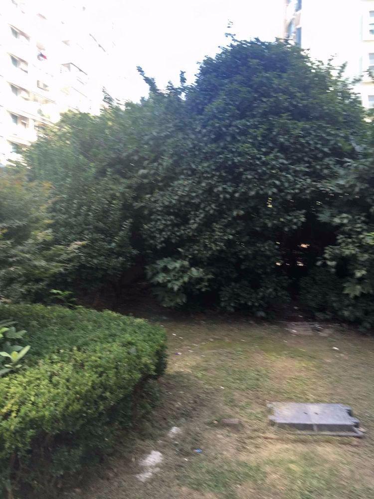 上海欣晟家园二手房房源图片