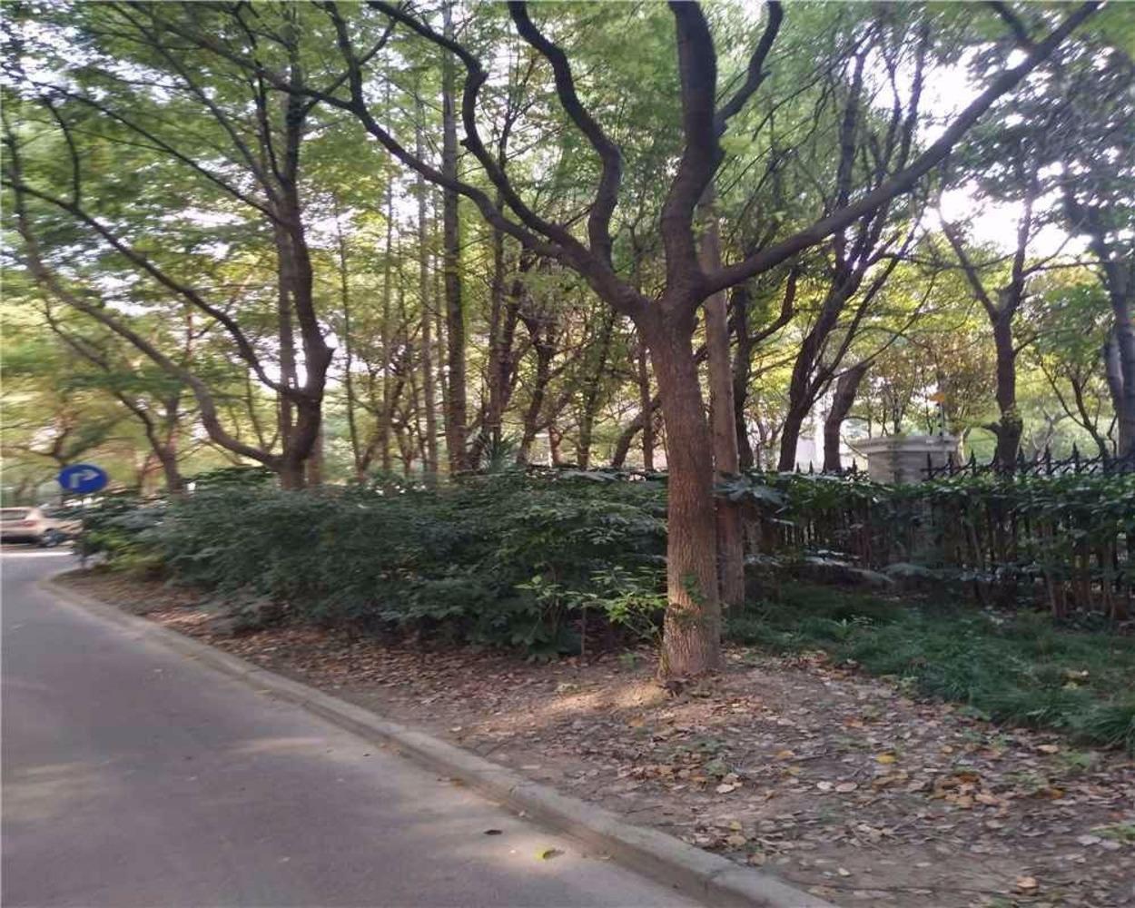 上海雍江星座二手房房源图片