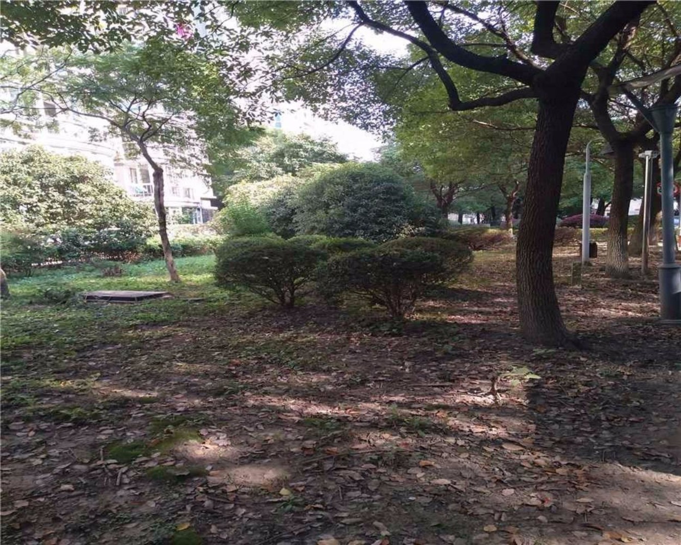 上海雍江星座二手房房源图片