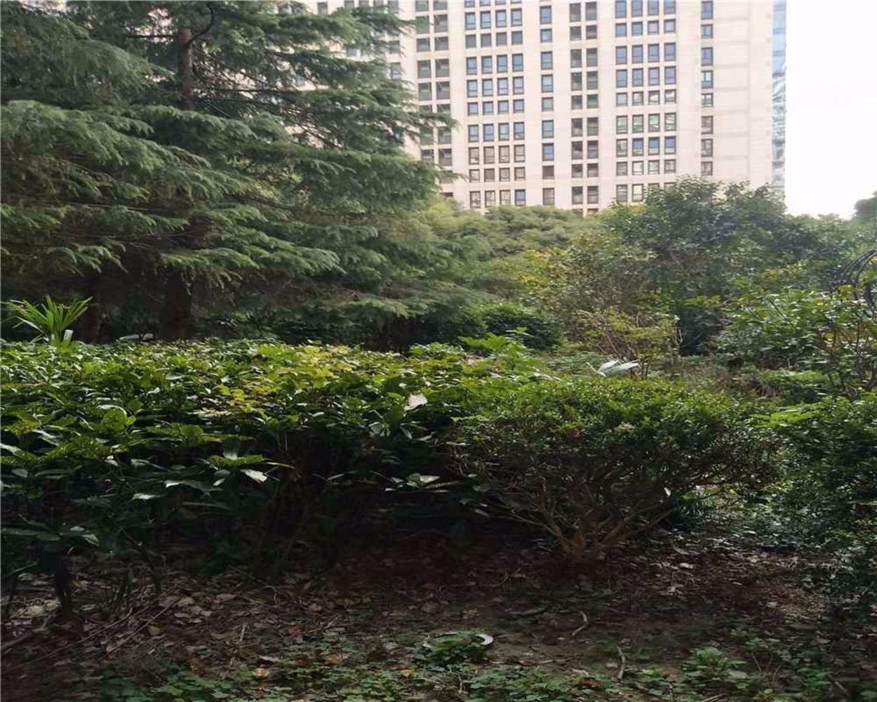 上海雍江星座二手房房源图片