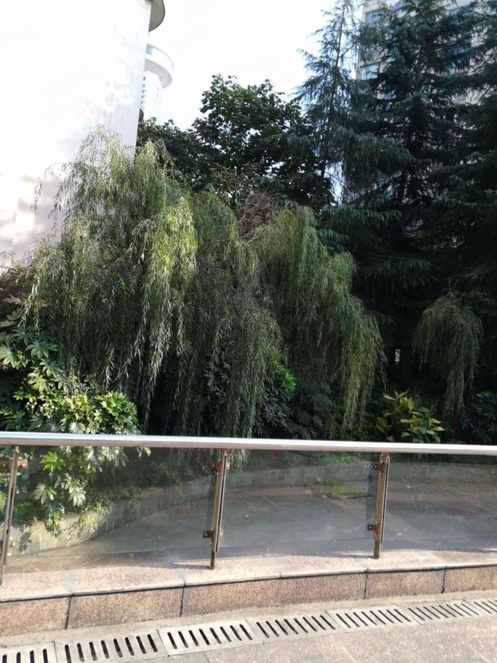 上海仕嘉名苑二手房房源图片