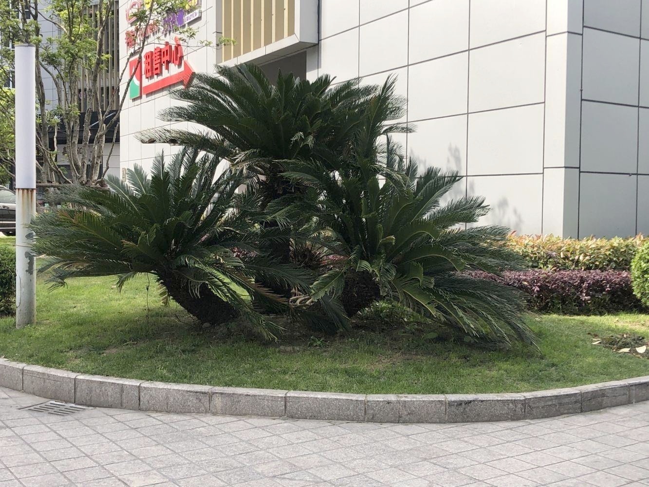 上海嘉汇国际广场二手房房源图片