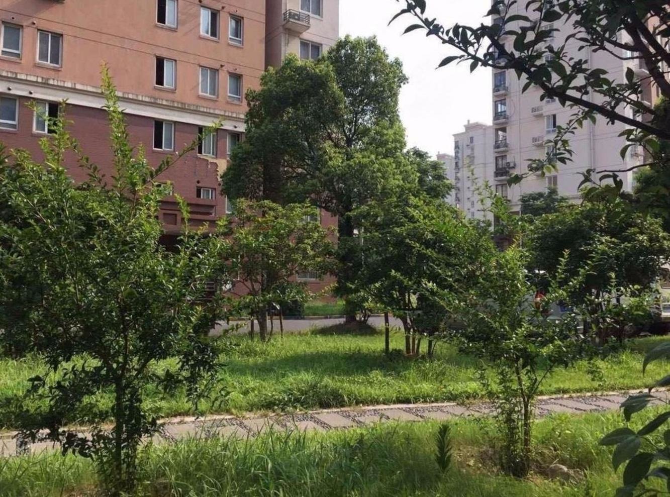 上海中虹家园二手房房源图片