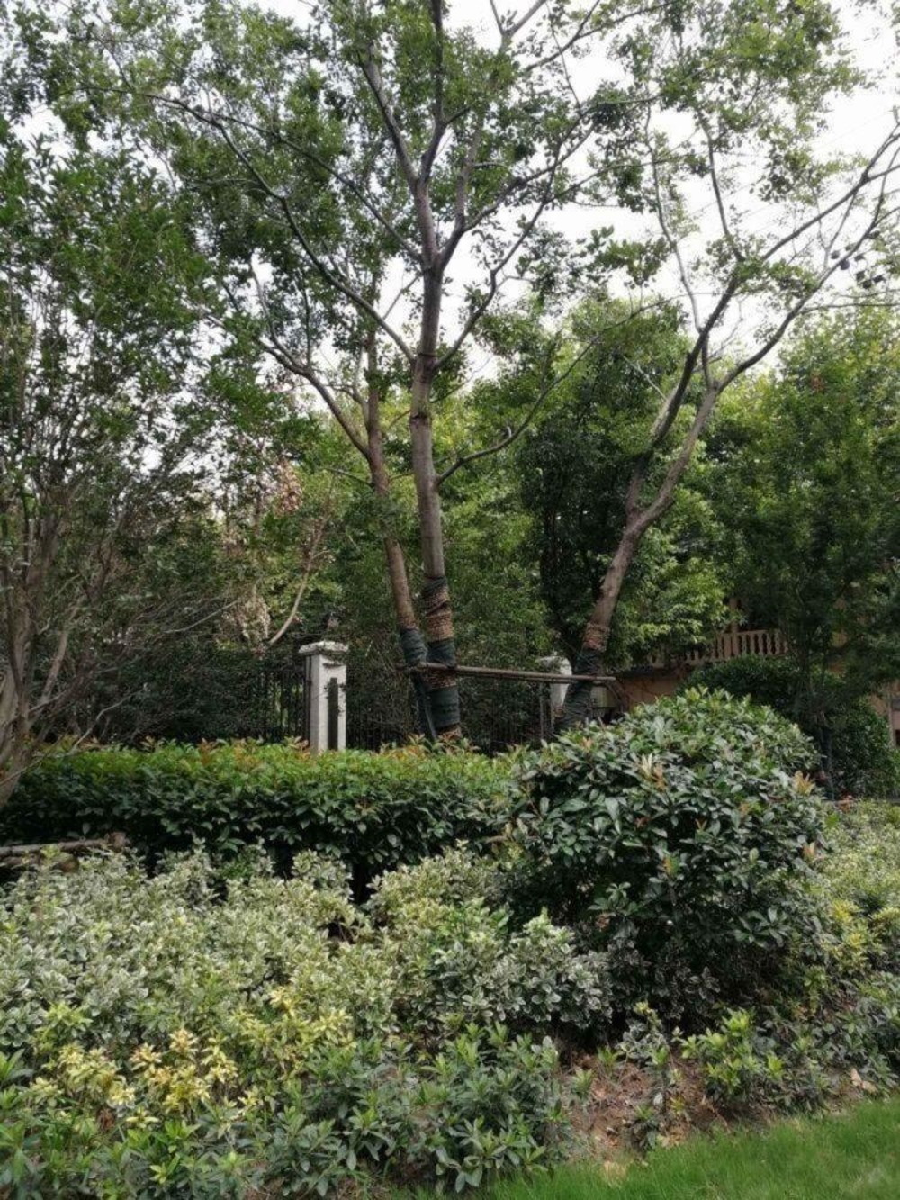 上海汤臣高尔夫(别墅)二手房房源图片