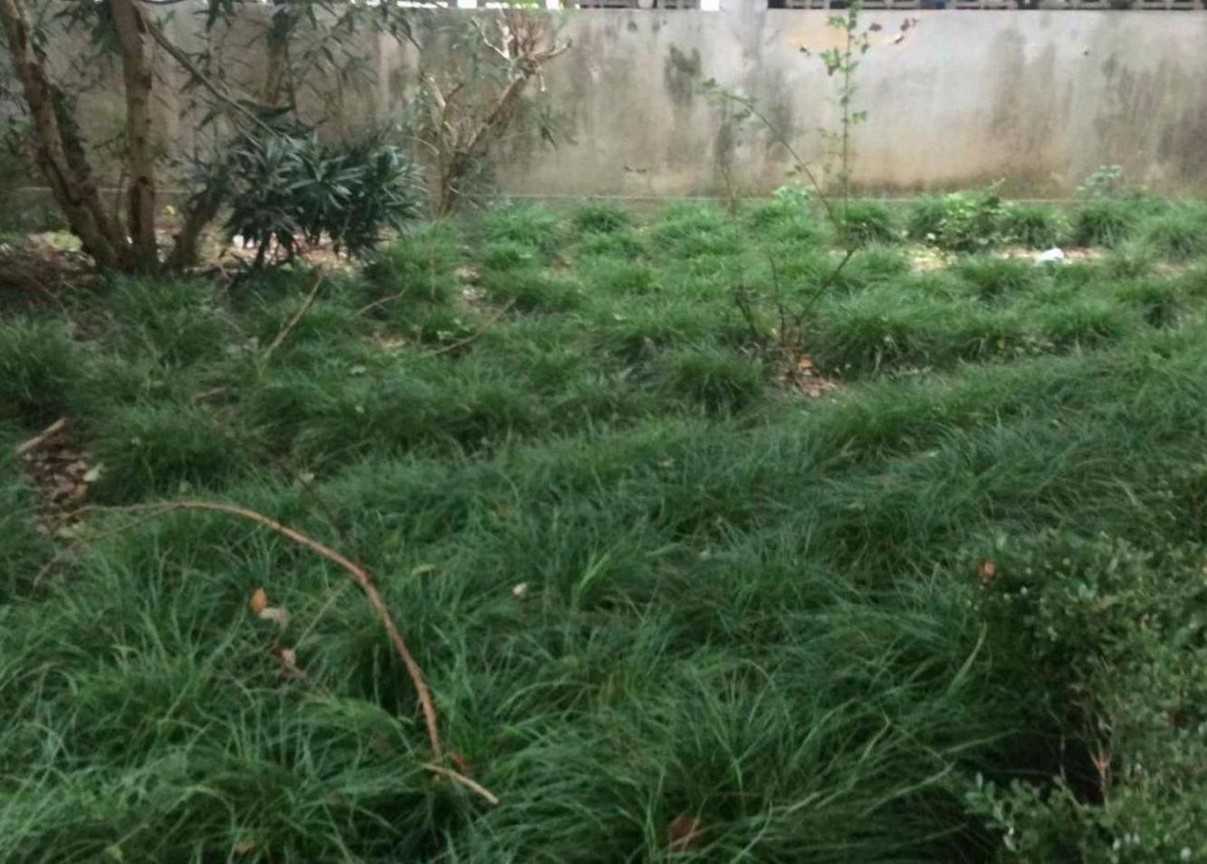 上海博一小区(2支弄)二手房房源图片