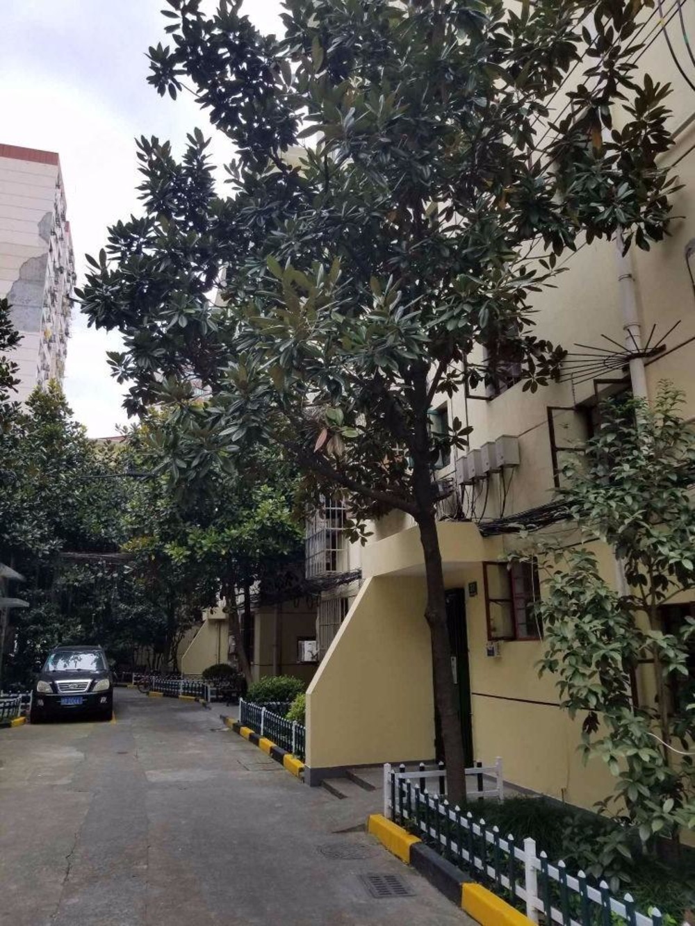 上海科苑新村二手房房源图片