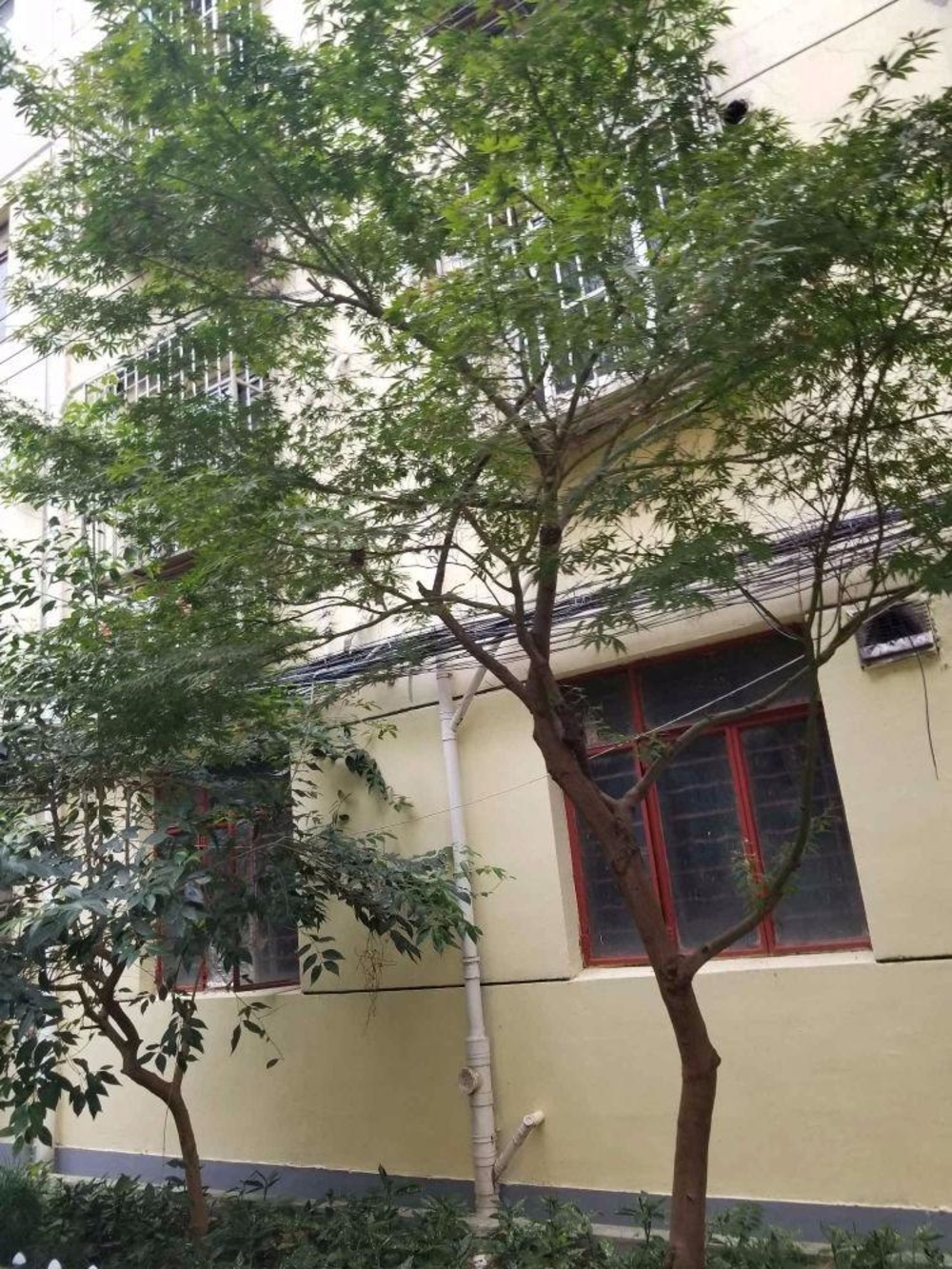 上海科苑新村二手房房源图片