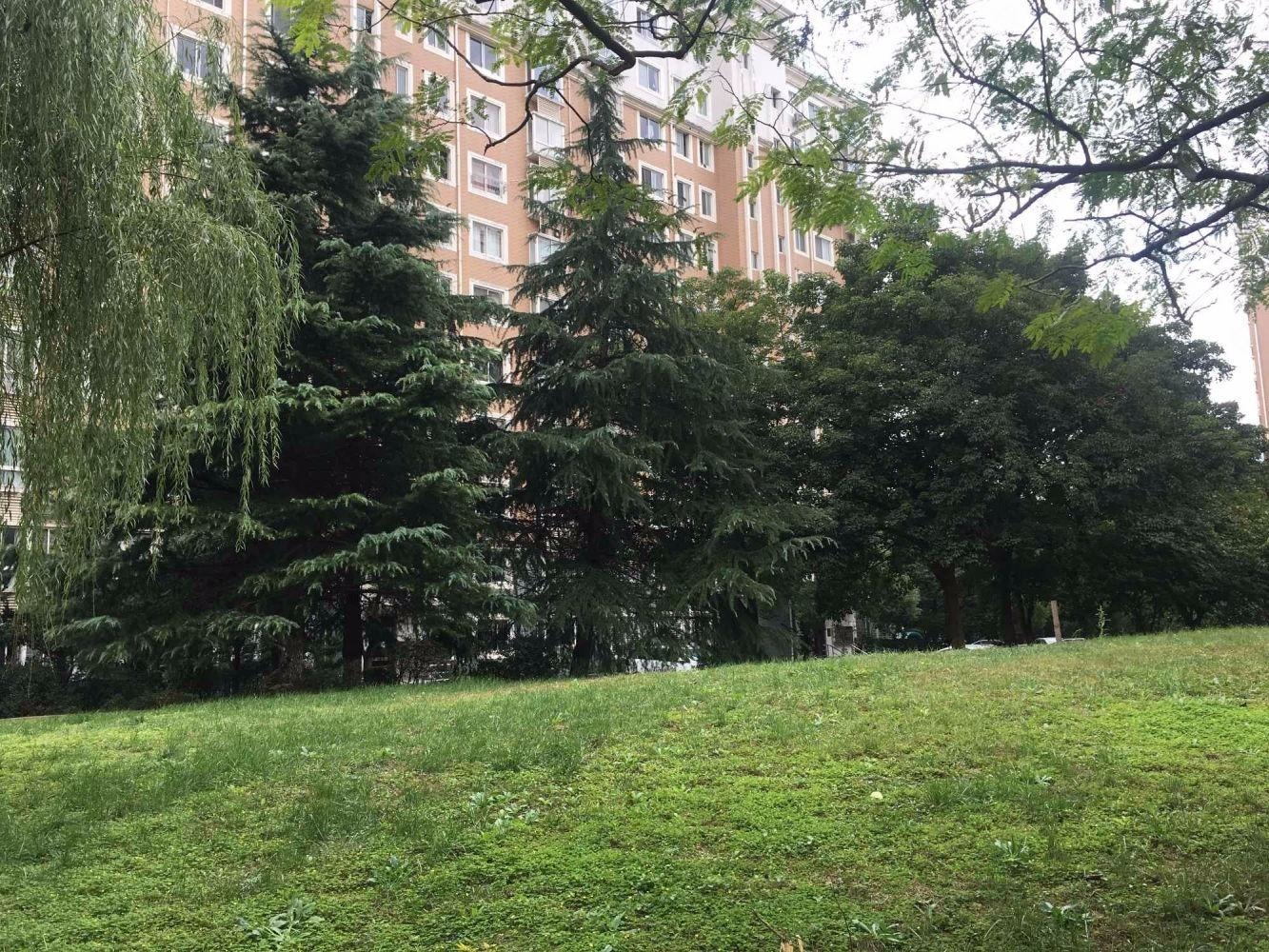 上海金桥名都二手房房源图片